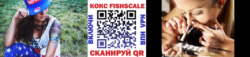COCAIN FishScale  мега зеркало  Катайск 